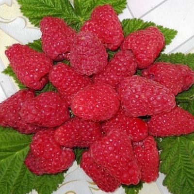 Сладкая в Кемерово