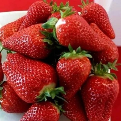 Клубника БРИЛЛА в Кемерово