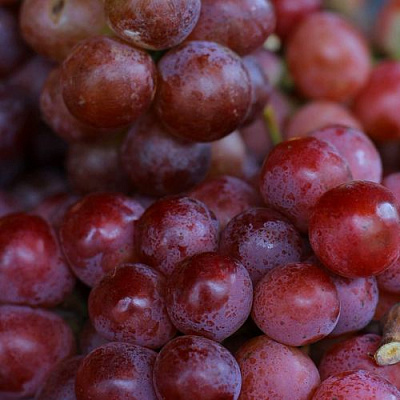 Красный в Кемерово